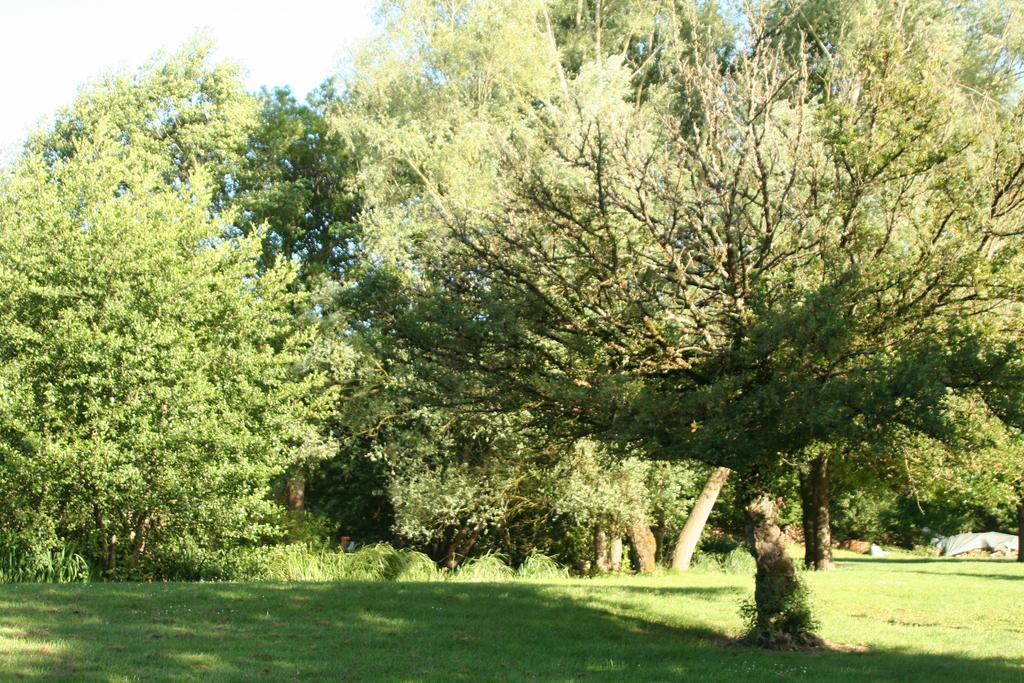 Le Petit Moulin Bed and Breakfast Faverelles Εξωτερικό φωτογραφία