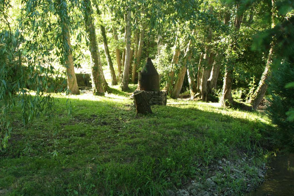 Le Petit Moulin Bed and Breakfast Faverelles Εξωτερικό φωτογραφία